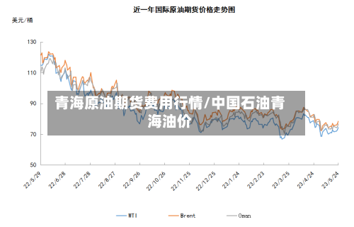 青海原油期货费用行情/中国石油青海油价-第2张图片