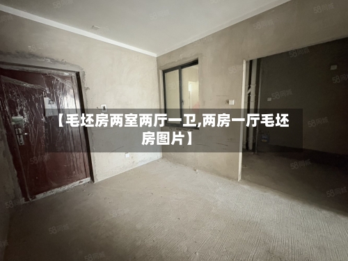【毛坯房两室两厅一卫,两房一厅毛坯房图片】-第2张图片