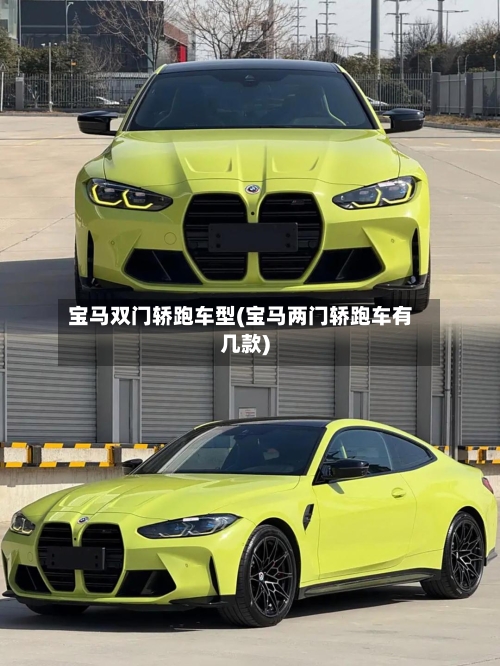 宝马双门轿跑车型(宝马两门轿跑车有几款)