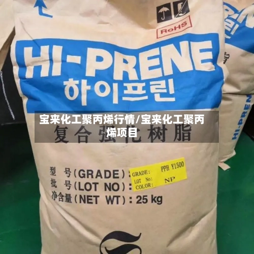 宝来化工聚丙烯行情/宝来化工聚丙烯项目-第2张图片