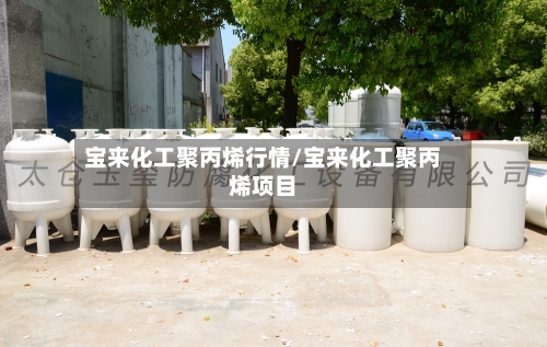 宝来化工聚丙烯行情/宝来化工聚丙烯项目-第3张图片