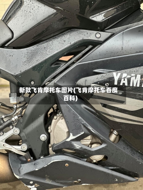 新款飞肯摩托车图片(飞肯摩托车百度百科)