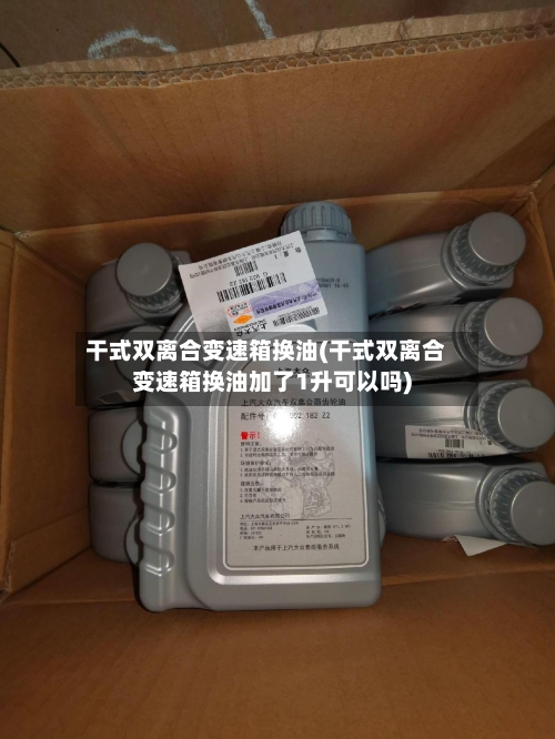干式双离合变速箱换油(干式双离合变速箱换油加了1升可以吗)-第2张图片