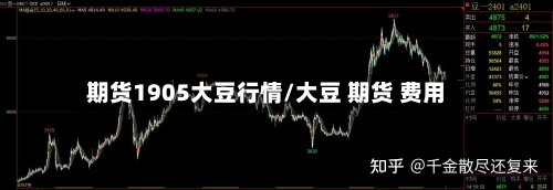 期货1905大豆行情/大豆 期货 费用