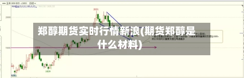 郑醇期货实时行情新浪(期货郑醇是什么材料)