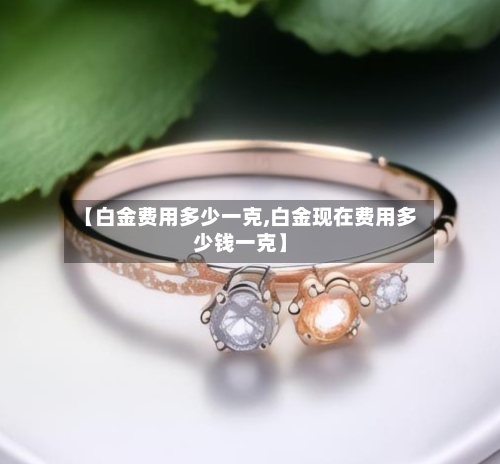【白金费用多少一克,白金现在费用多少钱一克】-第3张图片