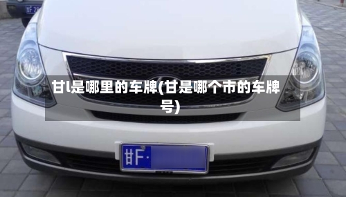 甘l是哪里的车牌(甘是哪个市的车牌号)-第3张图片