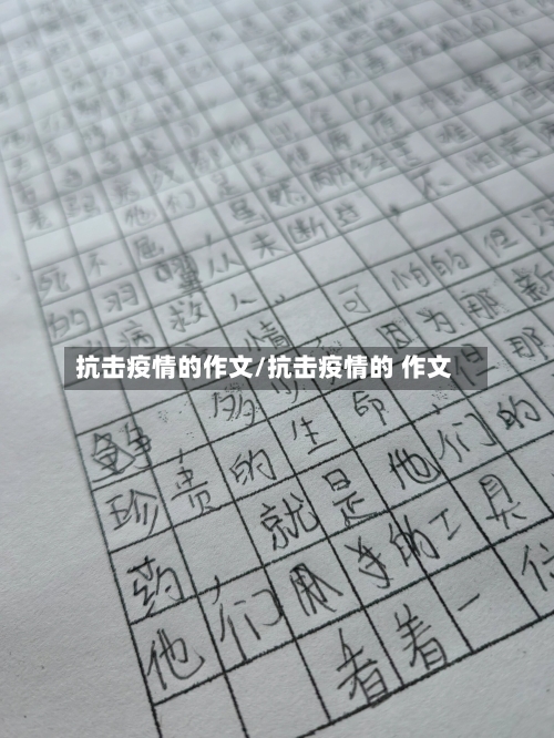 抗击疫情的作文/抗击疫情的 作文-第3张图片