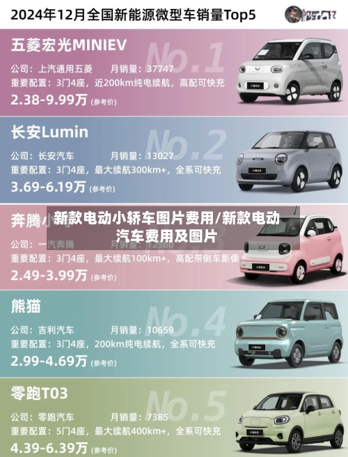 新款电动小轿车图片费用/新款电动汽车费用及图片