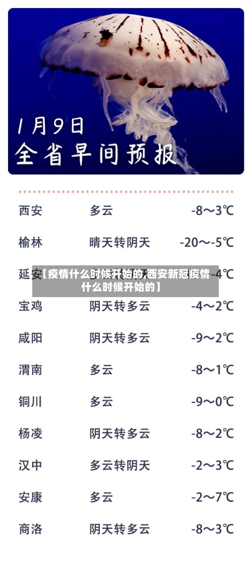 【疫情什么时候开始的,西安新冠疫情什么时候开始的】-第3张图片