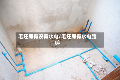 毛坯房有没有水电/毛坯房有水电路嘛-第3张图片
