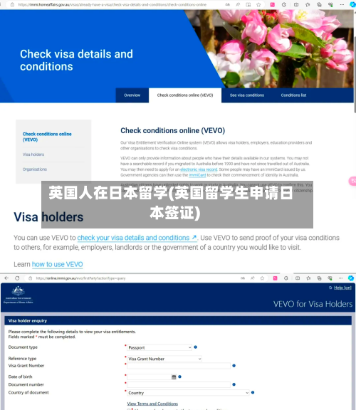 英国人在日本留学(英国留学生申请日本签证)