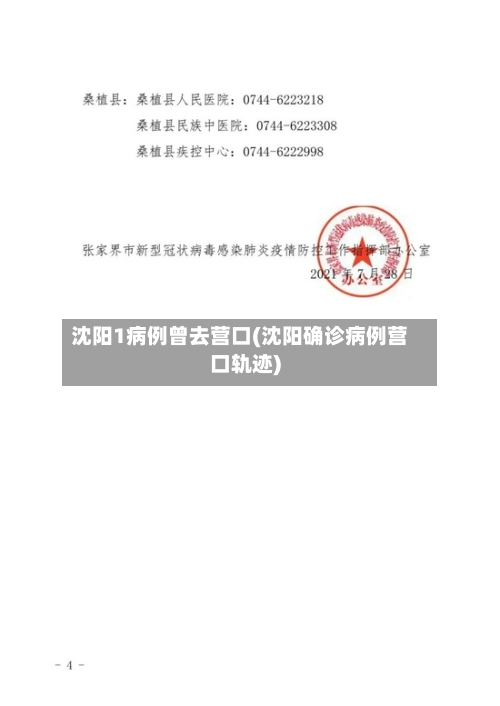 沈阳1病例曾去营口(沈阳确诊病例营口轨迹)-第3张图片