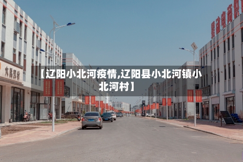 【辽阳小北河疫情,辽阳县小北河镇小北河村】