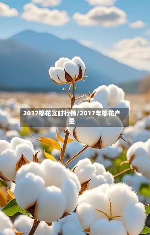 2017棉花实时行情/2017年棉花产量