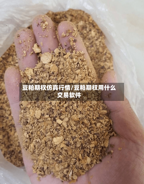 豆粕期权仿真行情/豆粕期权用什么交易软件