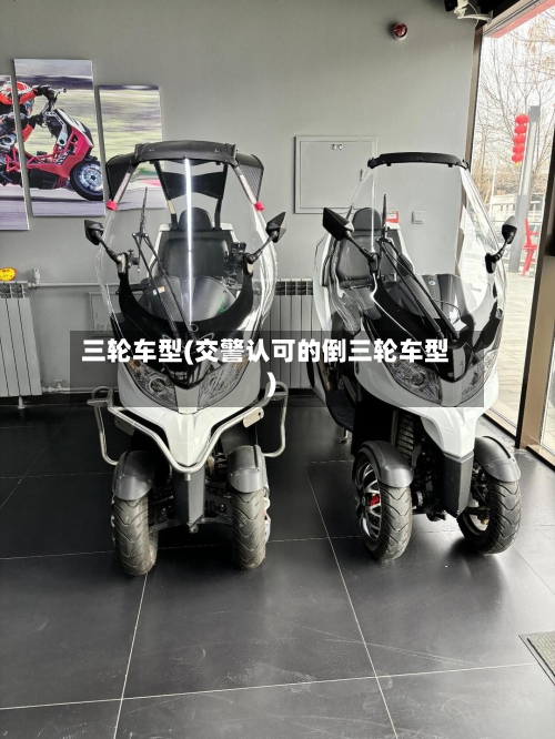 三轮车型(交警认可的倒三轮车型)