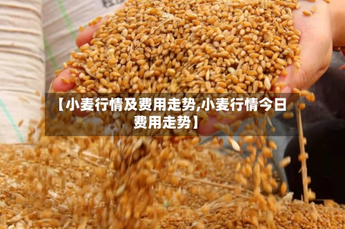 【小麦行情及费用走势,小麦行情今日费用走势】-第3张图片