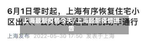 上海最新疫情今天/上海最新疫情通告-第2张图片