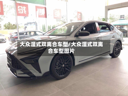 大众湿式双离合车型/大众湿式双离合车型图片