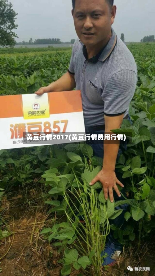 黄豆行情2017(黄豆行情费用行情)
