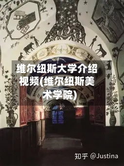 维尔纽斯大学介绍视频(维尔纽斯美术学院)-第2张图片