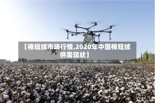 【棉短绒市场行情,2020年中国棉短绒供需现状】-第2张图片