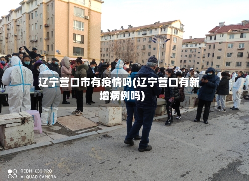 辽宁营口市有疫情吗(辽宁营口有新增病例吗)-第2张图片