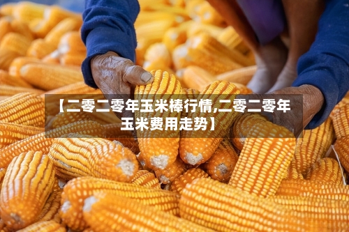 【二零二零年玉米棒行情,二零二零年玉米费用走势】
