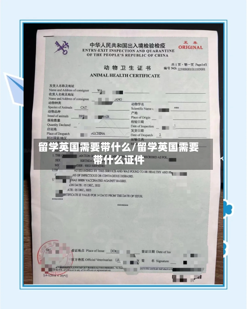 留学英国需要带什么/留学英国需要带什么证件