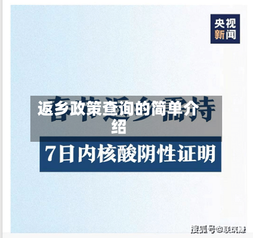 返乡政策查询的简单介绍