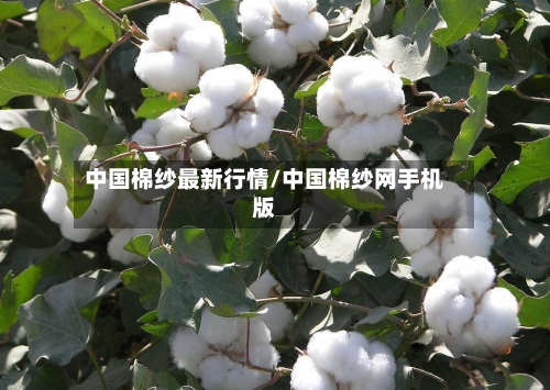 中国棉纱最新行情/中国棉纱网手机版
