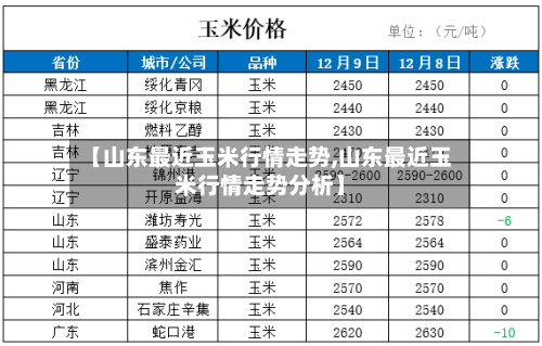【山东最近玉米行情走势,山东最近玉米行情走势分析】-第2张图片