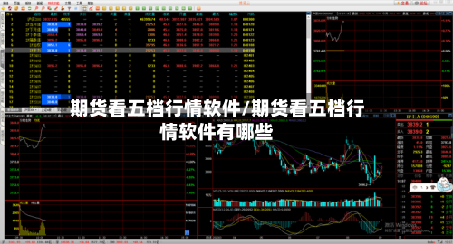 期货看五档行情软件/期货看五档行情软件有哪些-第3张图片