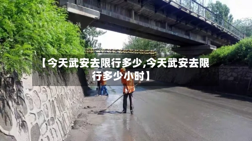 【今天武安去限行多少,今天武安去限行多少小时】