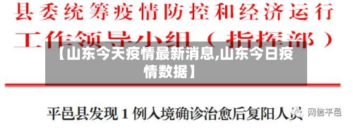 【山东今天疫情最新消息,山东今日疫情数据】-第3张图片