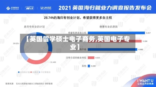 【英国留学硕士电子商务,英国电子专业】-第2张图片