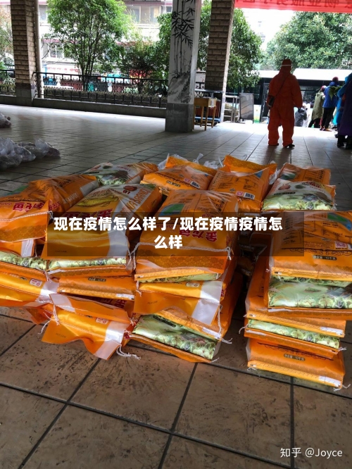 现在疫情怎么样了/现在疫情疫情怎么样