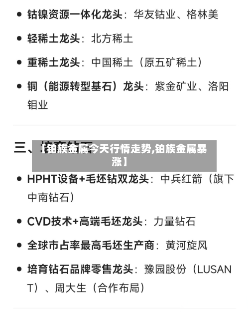 【铂族金属今天行情走势,铂族金属暴涨】