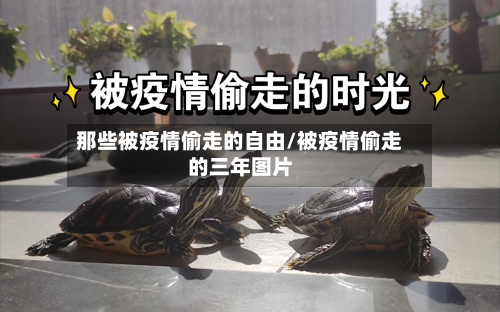 那些被疫情偷走的自由/被疫情偷走的三年图片