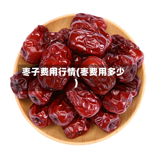 枣子费用行情(枣费用多少)