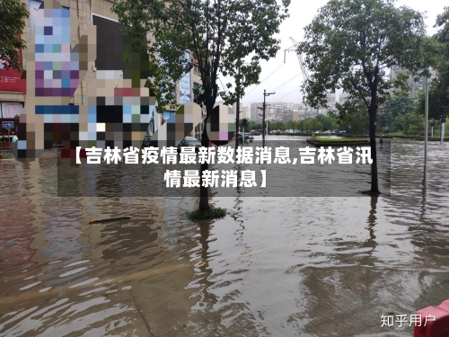 【吉林省疫情最新数据消息,吉林省汛情最新消息】-第2张图片