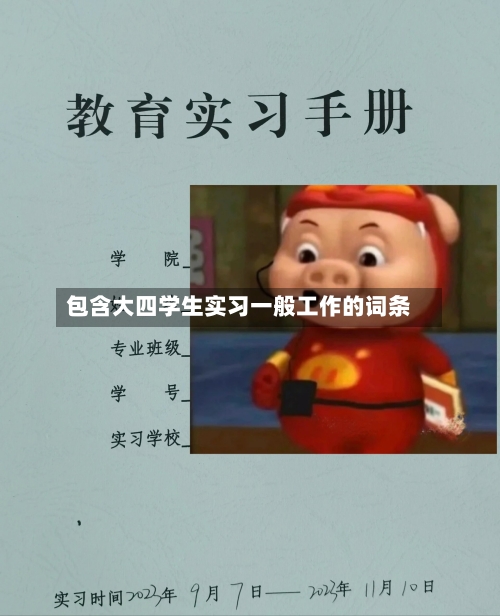 包含大四学生实习一般工作的词条
