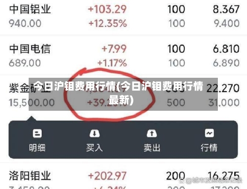 今日沪钼费用行情(今日沪钼费用行情最新)