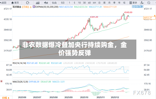 非农数据爆冷叠加央行持续购金，金价强势反弹-第3张图片
