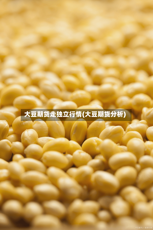 大豆期货走独立行情(大豆期货分析)