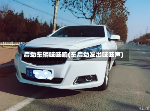 启动车辆吱吱响(车启动发出吱吱声)