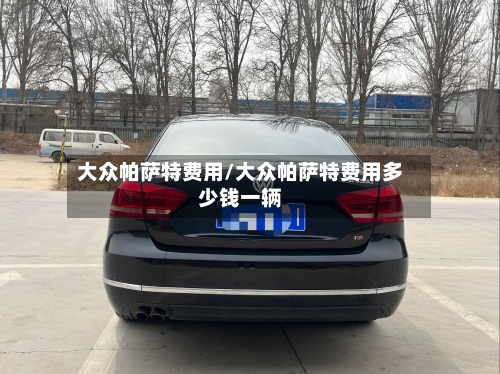 大众帕萨特费用/大众帕萨特费用多少钱一辆