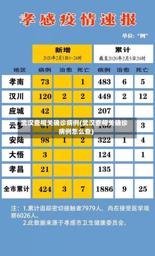 武汉查相关确诊病例(武汉查相关确诊病例怎么查)-第3张图片