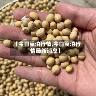 【今日豆泊行情,今日豆泊行情最新消息】-第2张图片